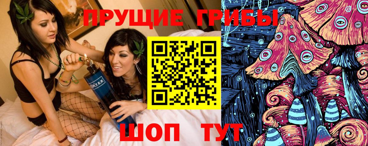 Хасавюрт  Псилоцибиновые грибы прущие грибы  Вход с VPN 